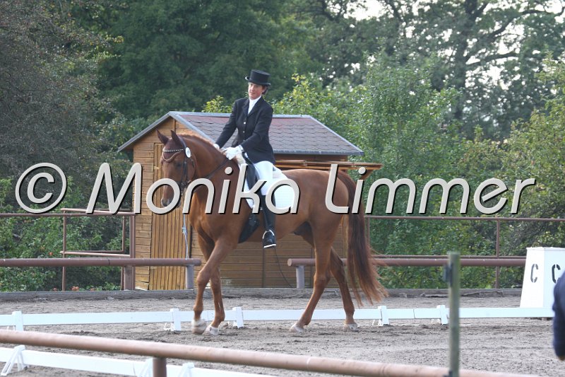 009M0094_Rotschopf_Dressur L.JPG